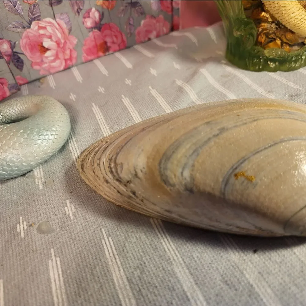 DECOUPAGE CLAM SHELL DECOUPAGE FLOWERS TRINKET DISH - Picture 11 of 11